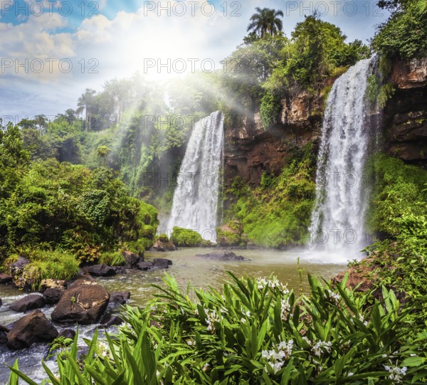Two rapid waterfalls from the Iguazu Falls. Hot tropical sun illuminates the rumbling waterfalls. The concept of extreme and ecological tourism