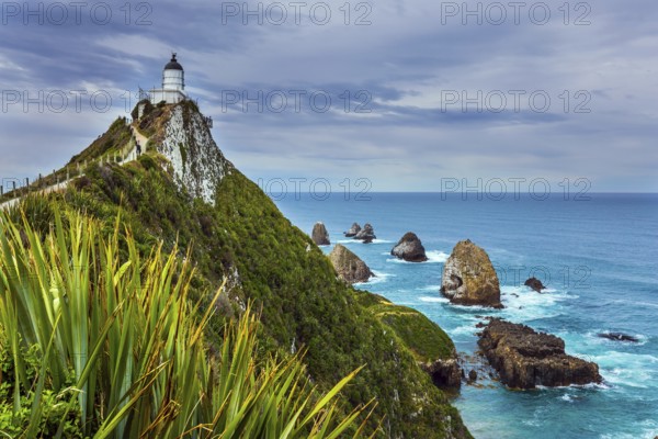 The picturesque coast of the Pacific Ocean. Nugget Point Lighthouse on the picturesque Cape Nugget. South Island, New Zealand. The concept of active, environmental and photo tourism