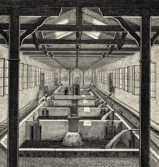 Fish farming at Huningue, Haut-Rhin department, Alsace, France, 19th century