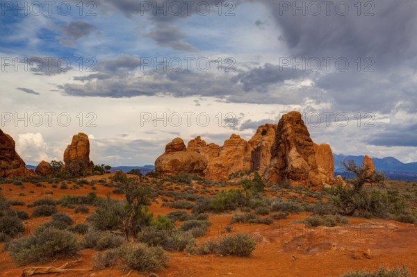 Beautiful rock formations in Arches National Park, Utah, USA