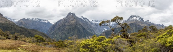 Panoramic view of the Southern Alps at Key Summit, Fiordland National Park, South Island of New Zealand