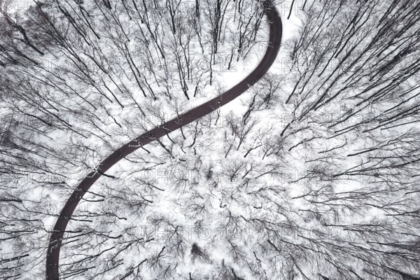 Winter forest and Road. Top view
