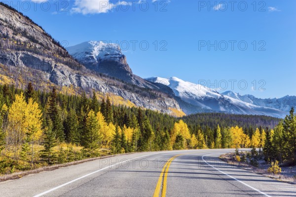 The asphalt highway goes into the distance. Indian summer in the Canadian Rockies. The first snow has already fallen on the peaks. The birches and aspens is mixed with green conifers