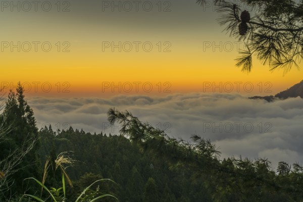 Sunset, fog in the valley, mountain landscape, low mountain range southwest of Alishan Township, Chiayi County, Taiwan
