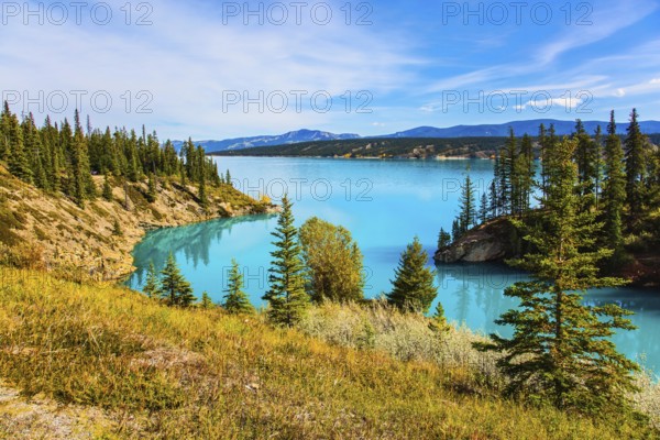 Indian summer in Canada, warm sunny day in autumn. Abraham Lake is the most beautiful lake in the Rockies. The concept of ecological and active tourism
