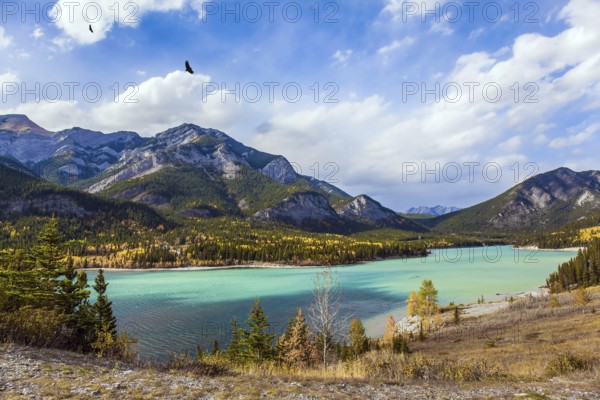 Lush multicolor autumn in the Canadian Rockies. The valley and azure icy water of the Kananaskis river. The concept of active, ecological and photo tourism