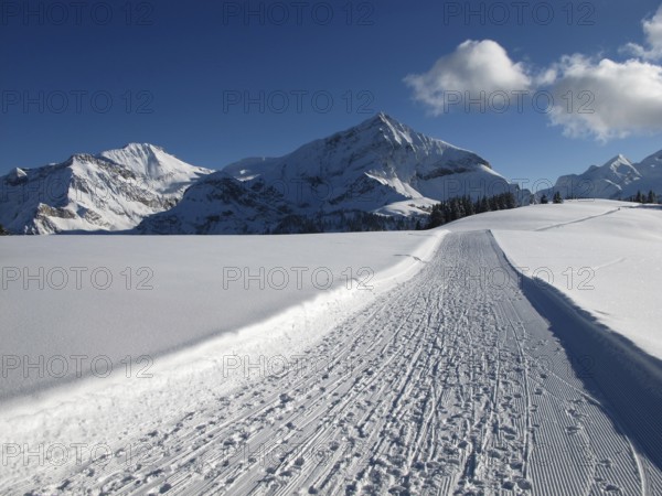 Mountains near Gstaad in the winter, Wispile