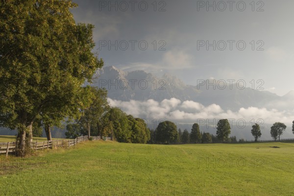 On pasture in the mountains