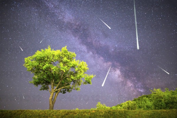 A view of a Meteor Shower and the Milky Way. Green plum tree with plums high in the mountain in the foreground. Night sky nature summer landscape. Perseid Meteor Shower observation