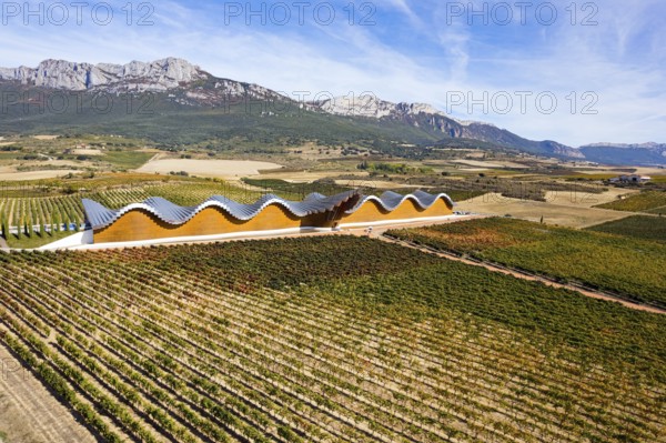 Bodegas Ysios winery and rows of vineyards. Laguardia, Spain. The architecture of Bodegas Ysios blends in beautifully with the surrounding landscape. Incredibly beautiful landscape