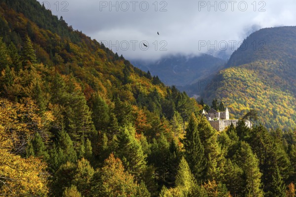 Pair of huge eagles circling in search of prey. Slovenia. Magnificent Julian Alps. Ancient ruins on a steep mountainside. The mountains are covered with forests. Sunset, a big cloud is approaching