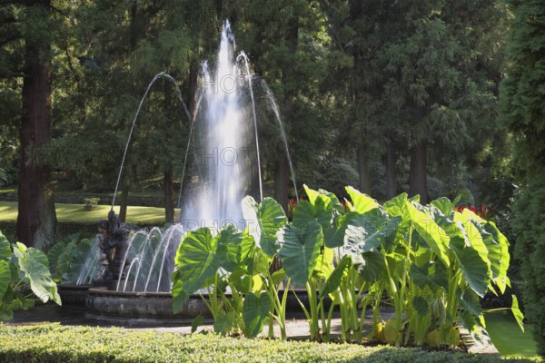 A magnificent fountain with a round bowl. A masterpiece of garden architecture - a park on Lake Maggiore