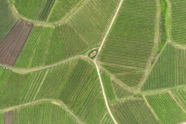 An image of an aerial view vineyard scenery at Kaiserstuhl Germany
