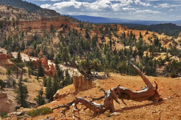 A red canyon in state of Utah in the USA