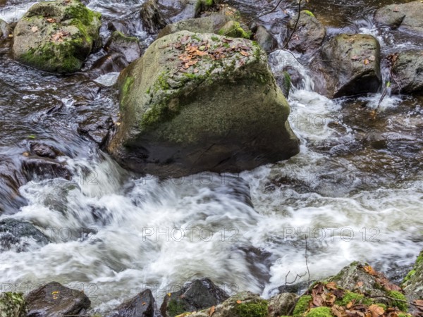 A stream with stones and flowing water. Experience the landscape in nature. Austria