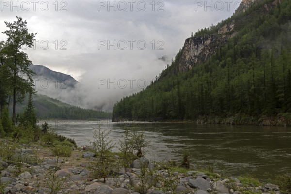 Low clouds in a mountain gorge. The beginning of the Orkho-Bom gorge, along this gorge the Sayan Oka river crosses the Sayansk ridge. Buryatia, Siberia, Russia