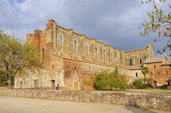 Abbey of Saint Galgano, a former Cistercian monastery in the valley of the Merse River, San Galgano, Tuscany, Italy, 11 October 2011