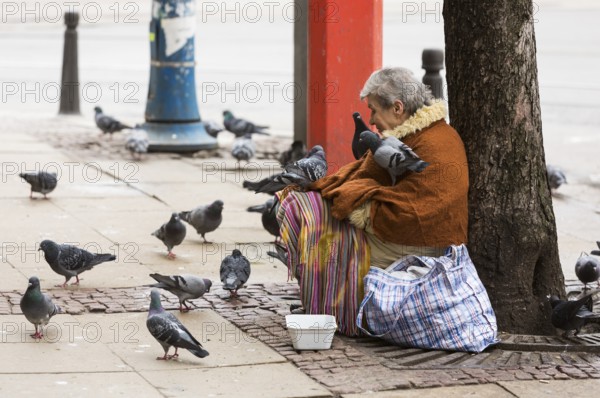 Sofia, Bulgaria - February 27, 2016: A homeless beggar woman is covered by pigeons while begging at a street in Sofia. Bulgaria is still the poorest EU country