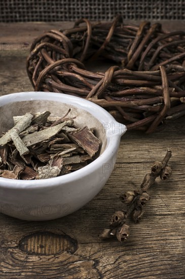 Medicinal licorice rolled in coil and aspen bark on wooden background.selective focus