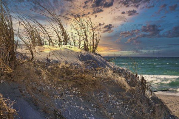Dune landscape Baltic Sea Zingst in HDR look. Sea and beach in the background. Landscape photo