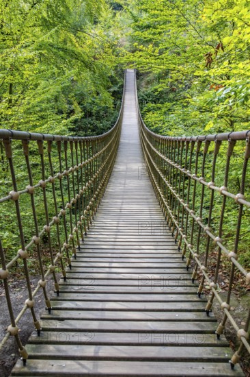 Wooden suspension bridge over a gorge, beautiful nature and trees in the Hunsrück, Germany