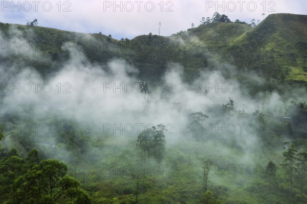 Cloud covers mountain and monsoon moisture is constantly enveloped forest is so-called cloud forests (nephelohylea) creating most productive ecosystem. Central plateau of Sri Lanka