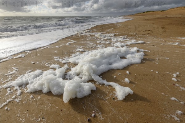 Windswept sea foam on a beach in the Atlantic Ocean near Olonne sur mer in France