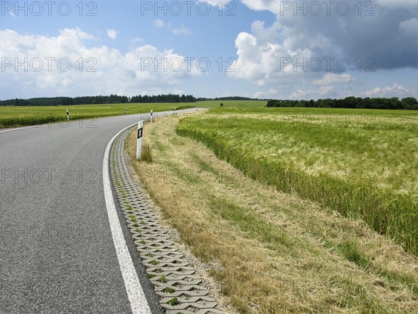 Perfect road in landscape with fields, trees, and blue sky, Germany