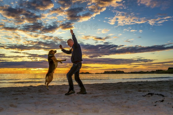 Man, dog, shepherd, standing, jumping, opposite, sunset, evening light, beach, Atlantic Ocean, Lofoten, Norway, public ground