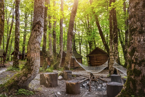 Morning in camping on Biogradsko lake, Montenegro