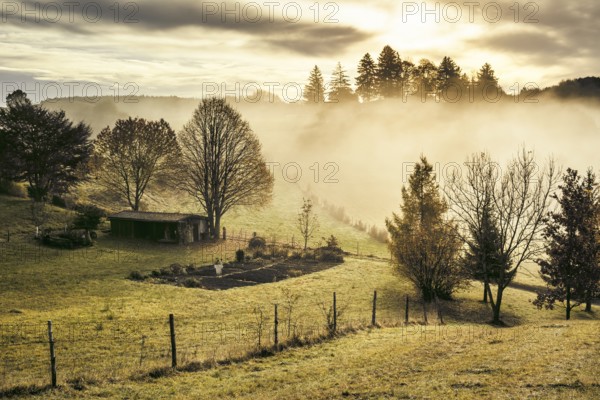 An image of a nice autumn landscape in Bavaria Germany