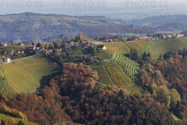 Autumn atmosphere, forest with foliage colouring, hilly landscape, vineyards, view from the Demmerkogel lookout point, St. Andrä-Höch, Sausal wine country, Styria, Austria