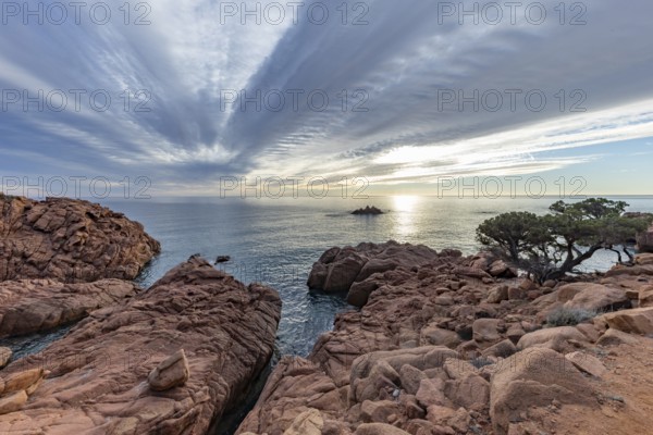 Coastal landscape with bizarre, red rocks and weathered, gnarled trees at sunset over the sea, Spiaggia di Cala E'Luas, Ogliastra, Sardinia, Italy