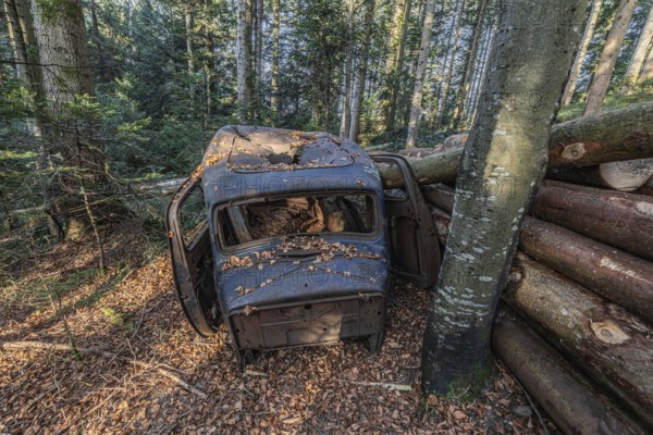 Wrecked carHudson Terraplane K Tourer Sedan built in 1935 that has been sitting in a forest for decades, Menzingen, Zug, Switzerland