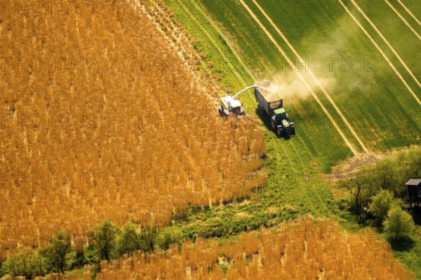 Harvesting with a combine harvester