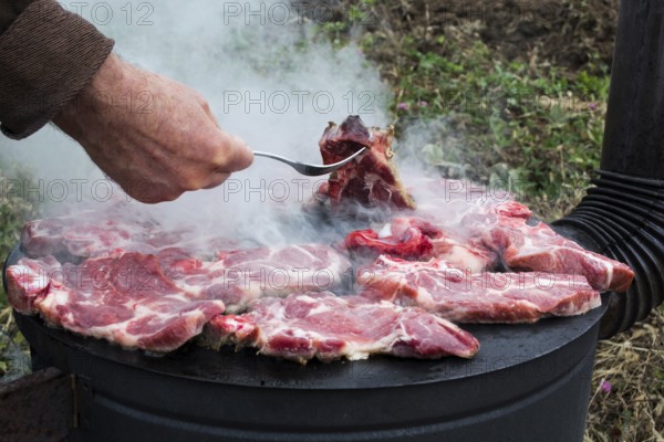 Grilled meat, pork, beef and chicken meat on barbecue, grill