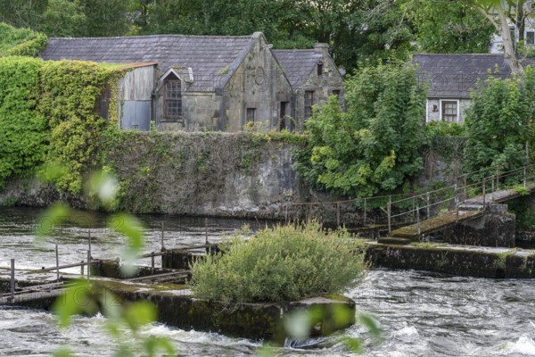 Corrib River, walk along the river, Galway, Ireland, United Kingdom