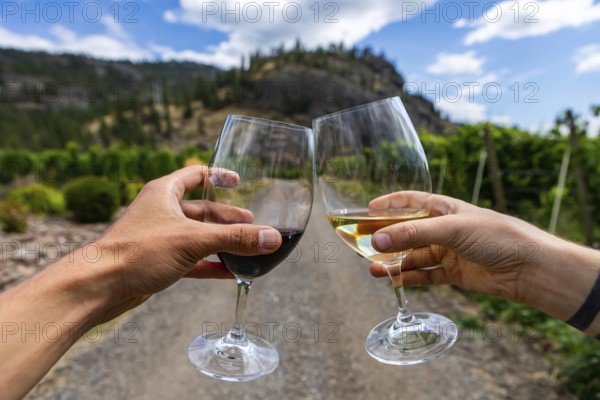 Hands holding and cheering a couple of red and white wine glasses selective focus close up view against, path road between vineyards background