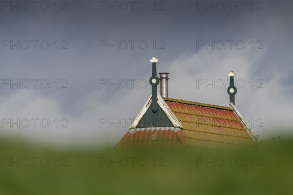 Colorful gable of a farm behind a green dike in northern Netherlands