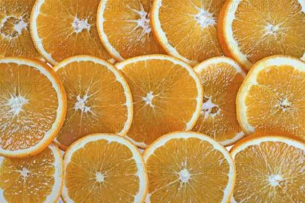 Background made from orange slices