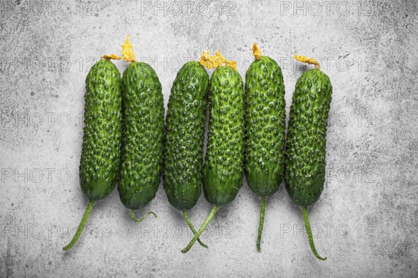 Fresh raw organic farmer cucumbers with leafs arranged on grey rustic stone background top view, healthy cucumbers in balanced nutrition and cooking concept, food photography, food photography