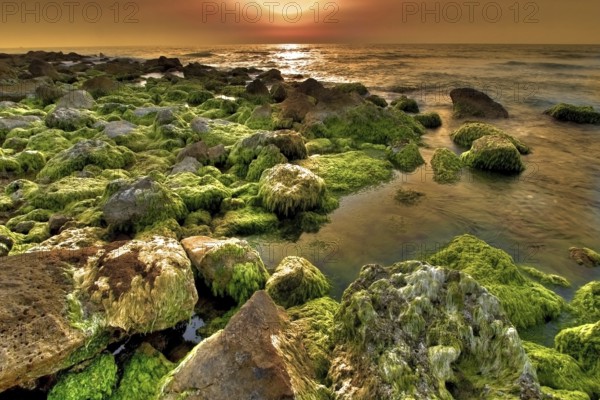 Sunset sun is lightening the sea surf