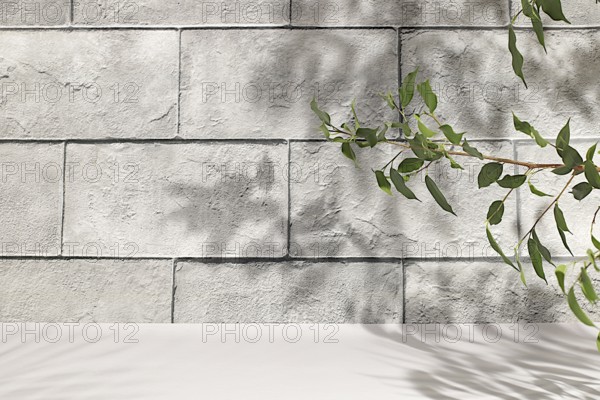 Concrete wall with hard shadows from palm leaves, Premium empty podium.Minimal abstract background for cosmetic products presentation, beauty aesthetics, design template