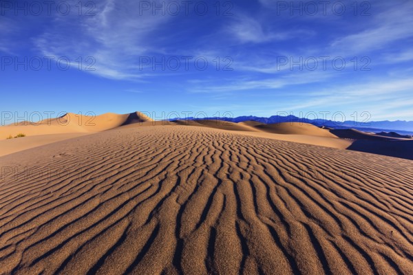 Thin waves on sand. Bright solar morning in picturesque part of Death Valley, USA. Mesquite Flat Sand Dunes, Stovepipe Wells Village