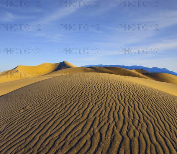 Early morning, sunrise in Death Valley, California. Magnificent sandy waves on dunes