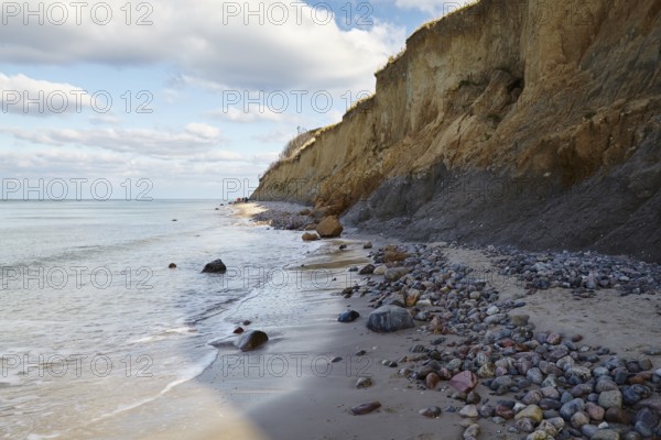 On the Hohes Ufer cliffs between Ahrenshoop and Wustrow on the Fischland peninsula, Mecklenburg-Western Pomerania, Germany