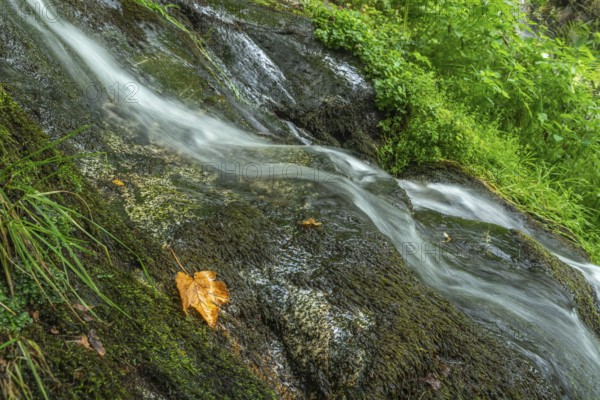 Waterfall of fresh water in the mountain in autumn. Alsace, France