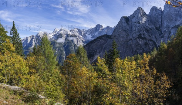 Julian alps from Vršic road, . Slovenia, Central Europe
