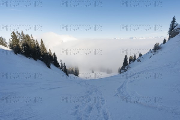 Fantastic snowshoe tour on the Hochgrat at the Nagelfluhkette in Allgau, Bavaria