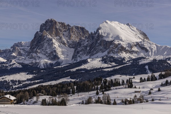 Hike on the Alpe di Siusi, South Tyrol, Italy